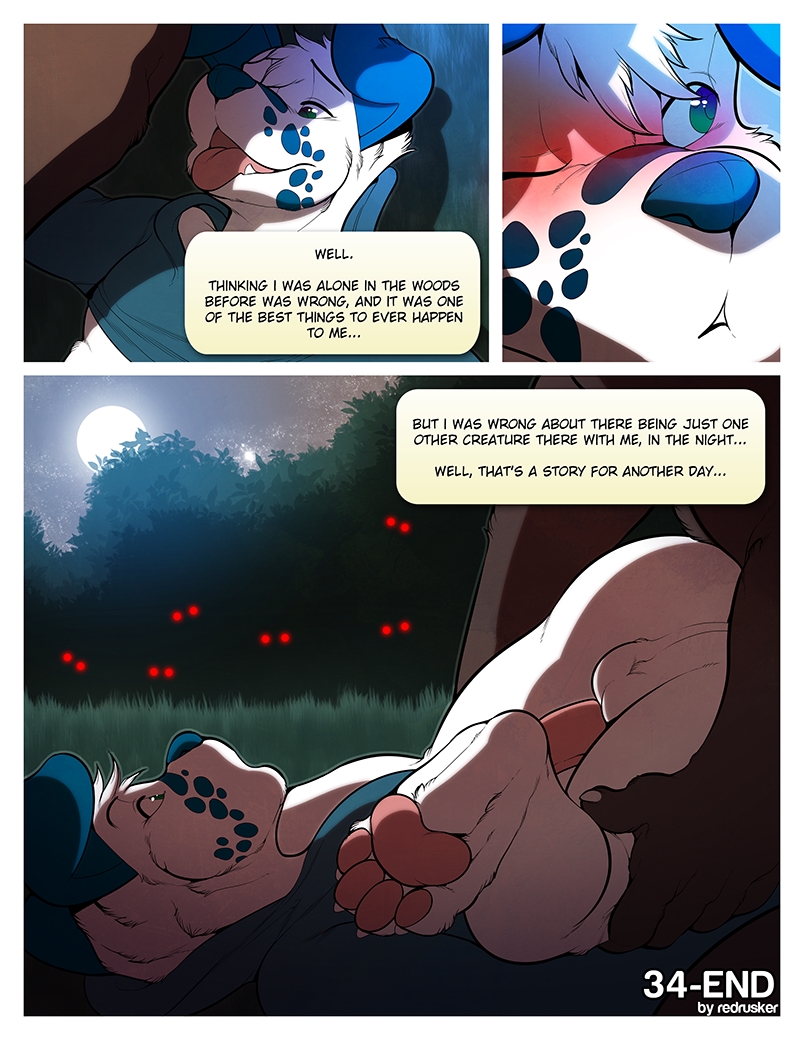 Page 35